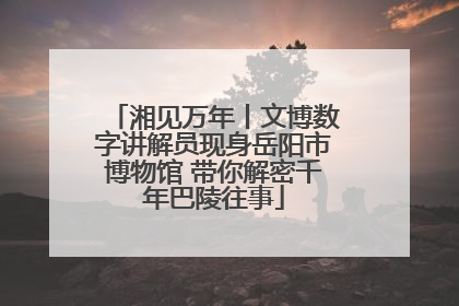 湘见万年丨文博数字讲解员现身岳阳市博物馆 带你解密千年巴陵往事