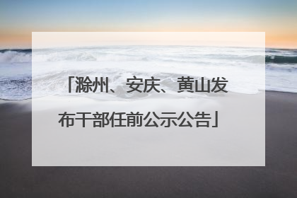 滁州、安庆、黄山发布干部任前公示公告