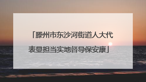 滕州市东沙河街道人大代表显担当实地督导保安康