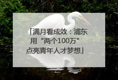 满月看成效：浦东用“两个100万”点亮青年人才梦想