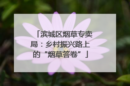 滨城区烟草专卖局：乡村振兴路上的“烟草答卷”