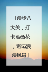 漫步八大关，打卡蔷薇花，邂逅浪漫风景