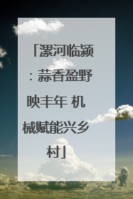 漯河临颍：蒜香盈野映丰年 机械赋能兴乡村