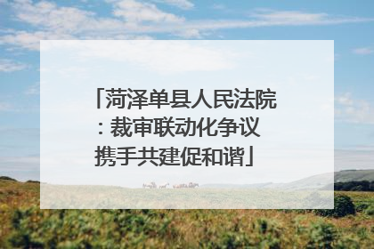 菏泽单县人民法院：裁审联动化争议 携手共建促和谐