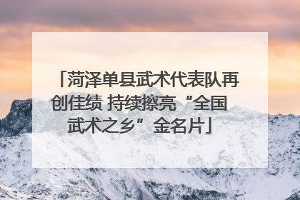 菏泽单县武术代表队再创佳绩 持续擦亮“全国武术之乡”金名片
