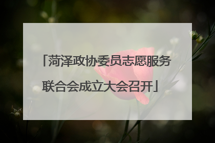 菏泽政协委员志愿服务联合会成立大会召开