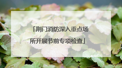 荆门消防深入重点场所开展节前专项检查