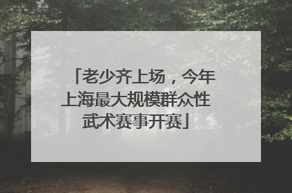 老少齐上场，今年上海最大规模群众性武术赛事开赛