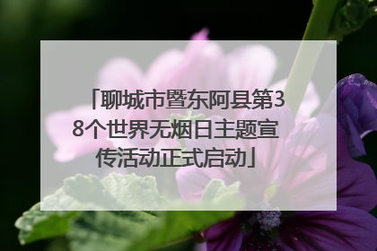 聊城市暨东阿县第38个世界无烟日主题宣传活动正式启动