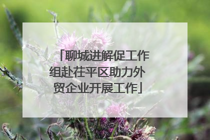 聊城进解促工作组赴茌平区助力外贸企业开展工作