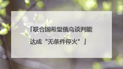 联合国希望俄乌谈判能达成“无条件停火”