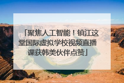 聚焦人工智能！镇江这堂国际虚拟学校视频直播课获韩美伙伴点赞