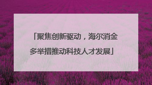 聚焦创新驱动，海尔消金多举措推动科技人才发展