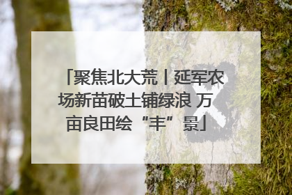 聚焦北大荒丨延军农场新苗破土铺绿浪 万亩良田绘“丰”景