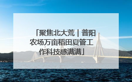 聚焦北大荒｜普阳农场万亩稻田夏管工作科技感满满