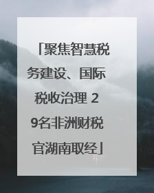 聚焦智慧税务建设、国际税收治理 29名非洲财税官湖南取经