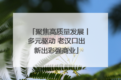 聚焦高质量发展丨多元驱动 老汉口出新出彩强商业