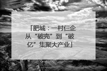 肥城：一村仨企从“破壳”到“破亿”集聚大产业