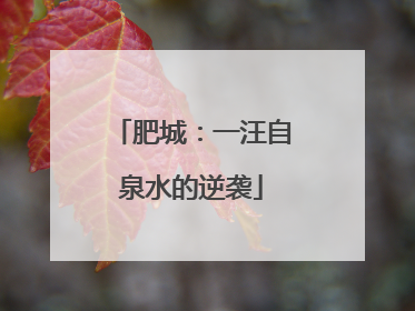 肥城：一汪自泉水的逆袭