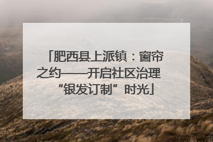肥西县上派镇：窗帘之约——开启社区治理“银发订制”时光