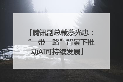 腾讯副总裁蔡光忠：“一带一路”背景下推动AI可持续发展