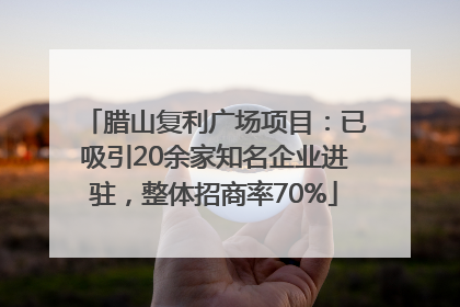 腊山复利广场项目：已吸引20余家知名企业进驻，整体招商率70%