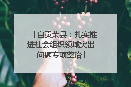 自贡荣县：扎实推进社会组织领域突出问题专项整治