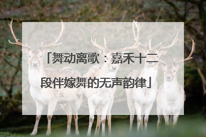 舞动离歌：嘉禾十二段伴嫁舞的无声韵律