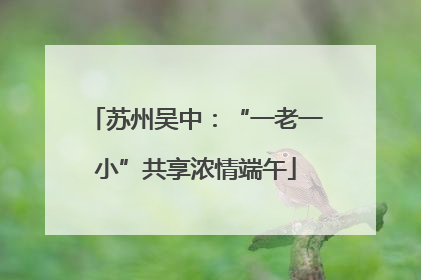 苏州吴中：“一老一小”共享浓情端午