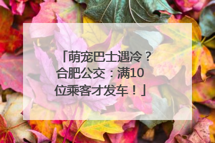 萌宠巴士遇冷？合肥公交：满10位乘客才发车！