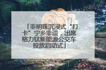 董明珠沉浸式“打卡”宁乡非遗，出席格力钛新能源公交车投放启动式