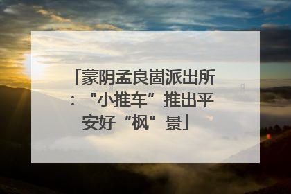 蒙阴孟良崮派出所：“小推车”推出平安好“枫”景