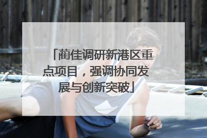 蔺佳调研新港区重点项目，强调协同发展与创新突破