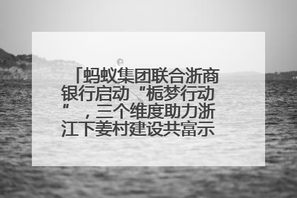 蚂蚁集团联合浙商银行启动“栀梦行动”，三个维度助力浙江下姜村建设共富示范区示范点
