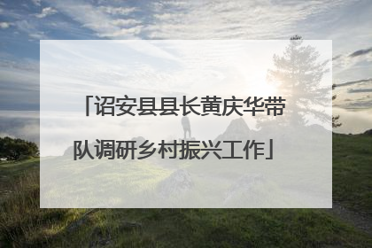 诏安县县长黄庆华带队调研乡村振兴工作