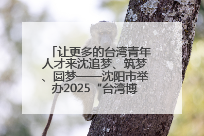 让更多的台湾青年人才来沈追梦、筑梦、圆梦——沈阳市举办2025“台湾博士沈阳行”活动