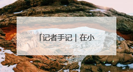 记者手记｜在小镇达沃斯，欧企展望牵手中国AI