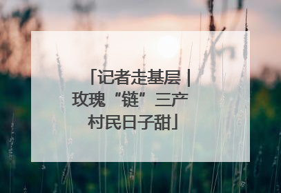 记者走基层｜玫瑰“链”三产 村民日子甜