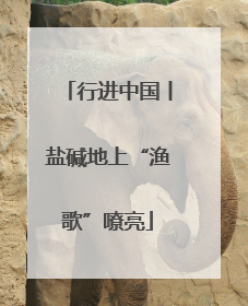 行进中国丨盐碱地上“渔歌”嘹亮