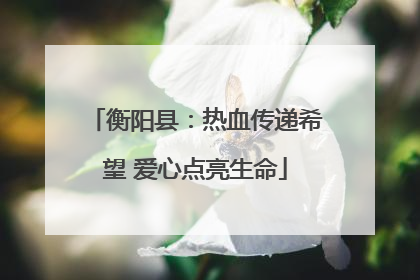 衡阳县：热血传递希望 爱心点亮生命