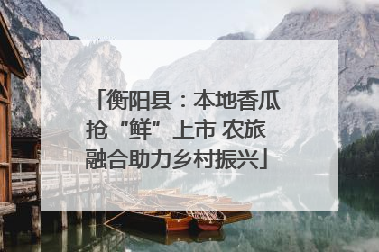 衡阳县：本地香瓜抢“鲜”上市 农旅融合助力乡村振兴