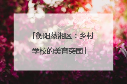 衡阳蒸湘区：乡村学校的美育突围