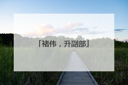 褚伟，升副部