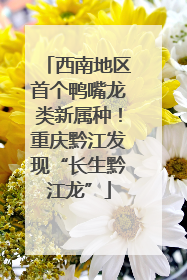 西南地区首个鸭嘴龙类新属种！重庆黔江发现“长生黔江龙”
