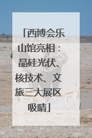 西博会乐山馆亮相：晶硅光伏、核技术、文旅三大展区吸睛