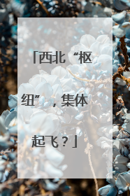 西北“枢纽”，集体起飞？