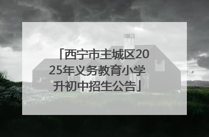 西宁市主城区2025年义务教育小学升初中招生公告