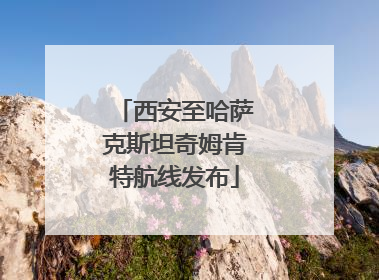西安至哈萨克斯坦奇姆肯特航线发布
