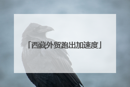 西藏外贸跑出加速度