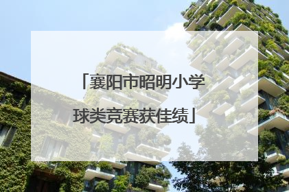 襄阳市昭明小学球类竞赛获佳绩